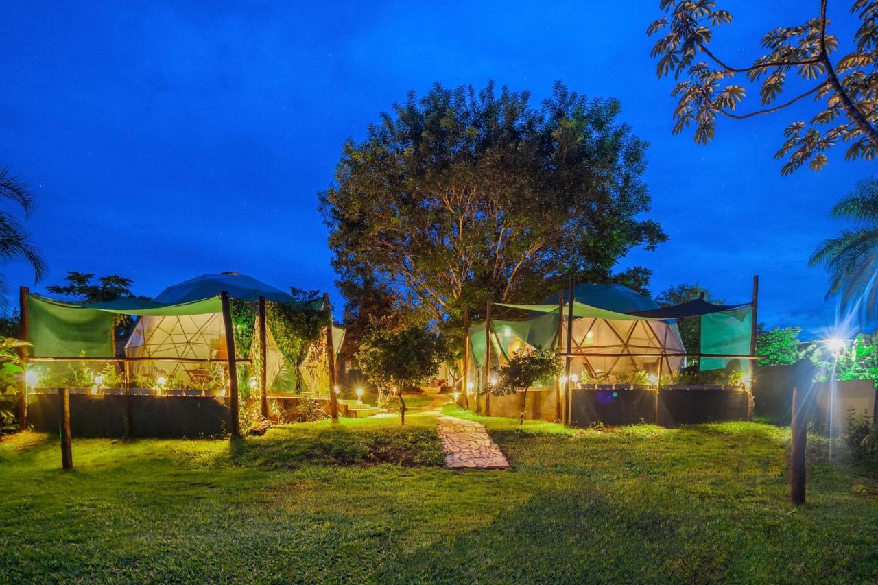 Glamping Serra Da Canastra - Casinha De Hortela - Domo Embauba Delfinópolis Dış mekan fotoğraf